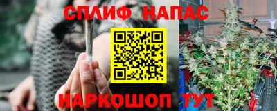 альфа пвп Волгодонск