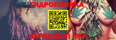 альфа пвп Волгодонск