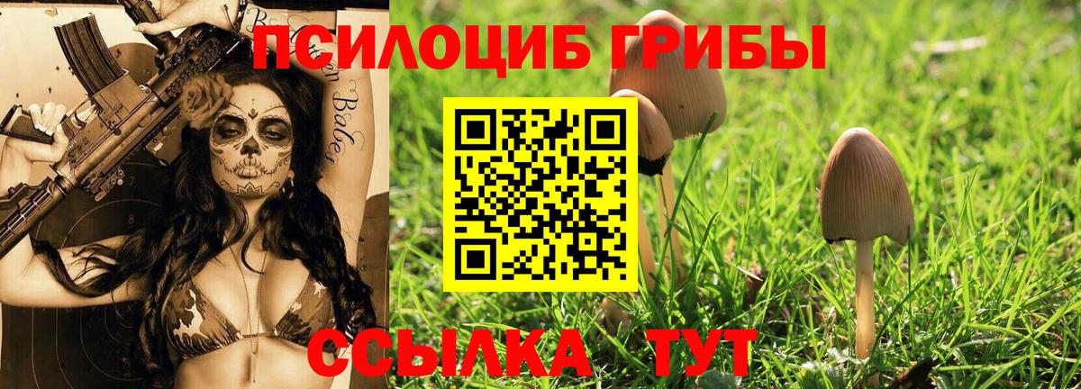 наркота  Вход с VPN  Гусь-Хрустальный  Галлюциногенные грибы Cubensis 